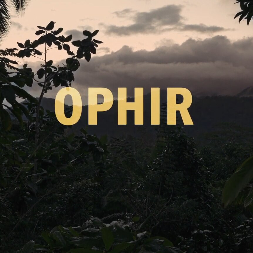 jungle image with the words Ophir written on the screen.