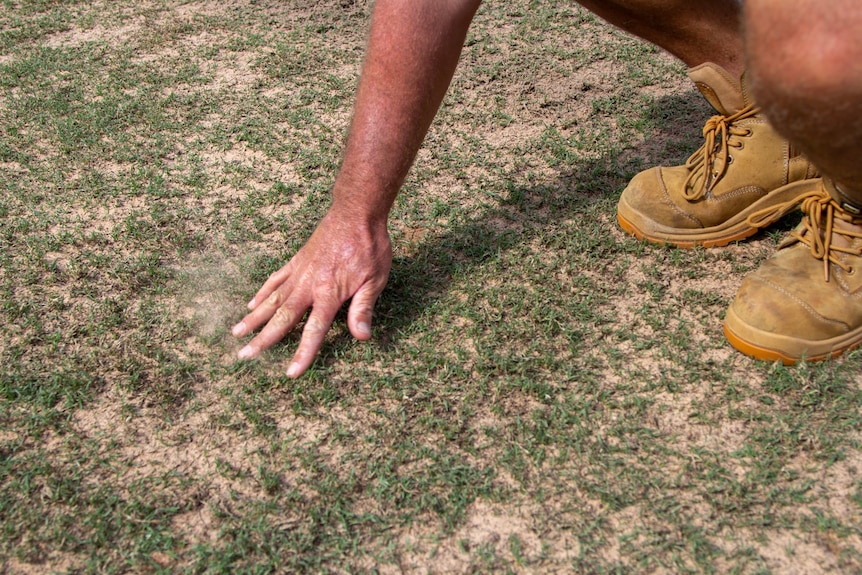 a man touching grass on an oval.
