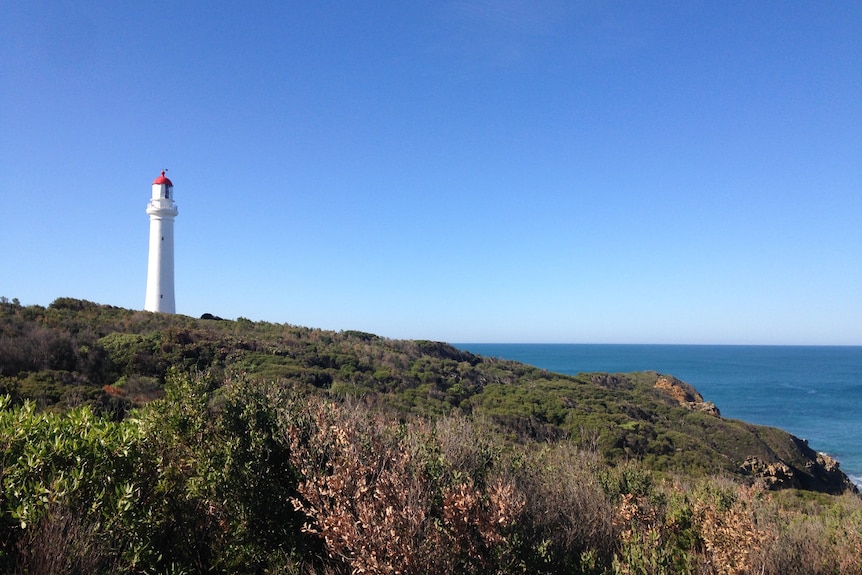 Looking over coastal scrub and ocean to a white lighthouse with a red roof.
