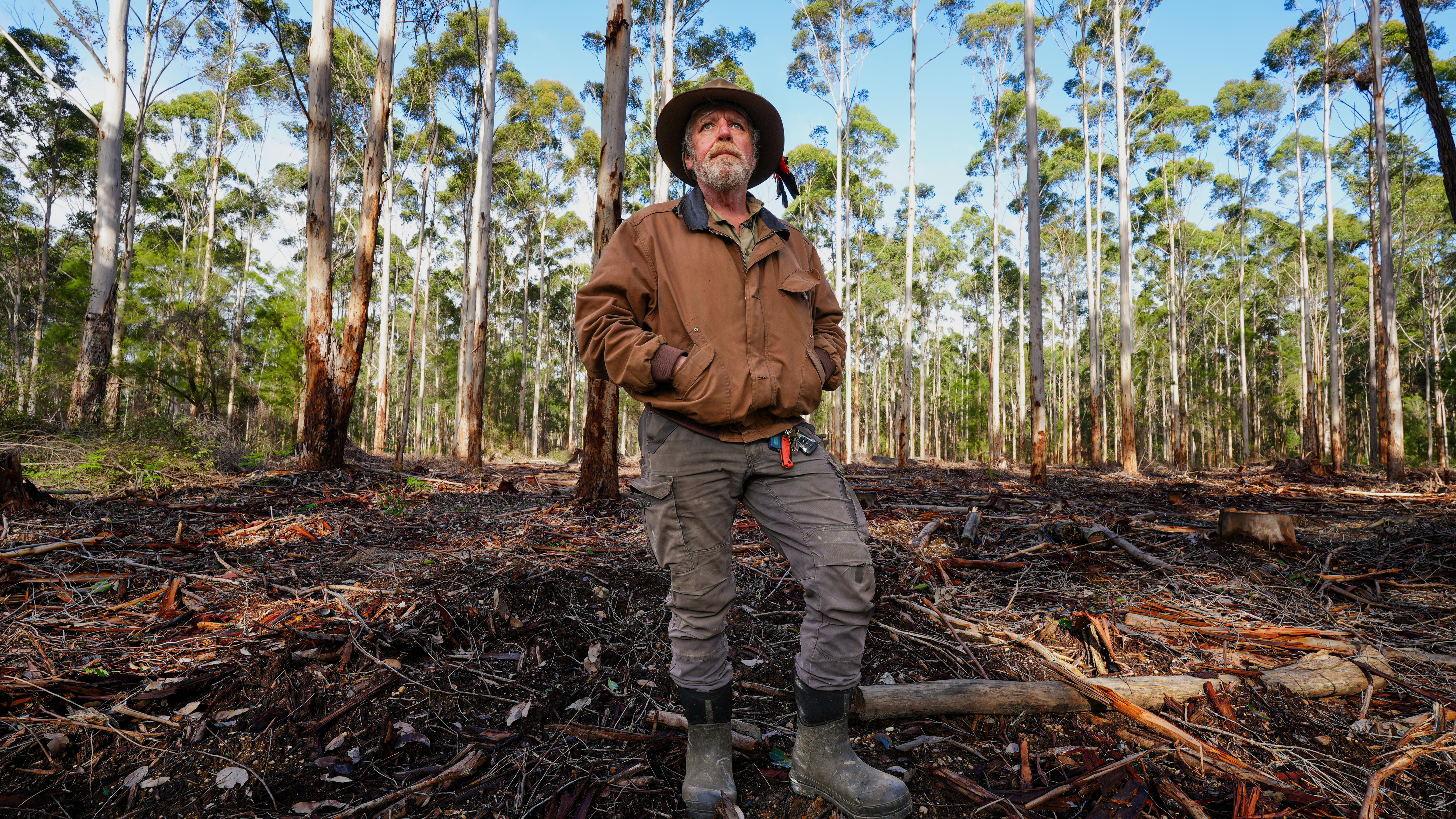 Government accused of 'logging by another name' in WA forests