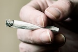 A person's hand holding a joint
