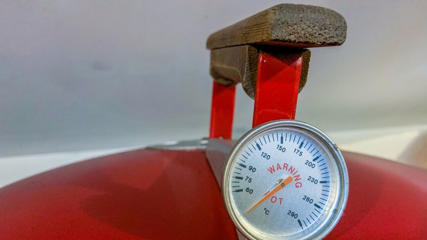 Temperature gauge on a barbecue