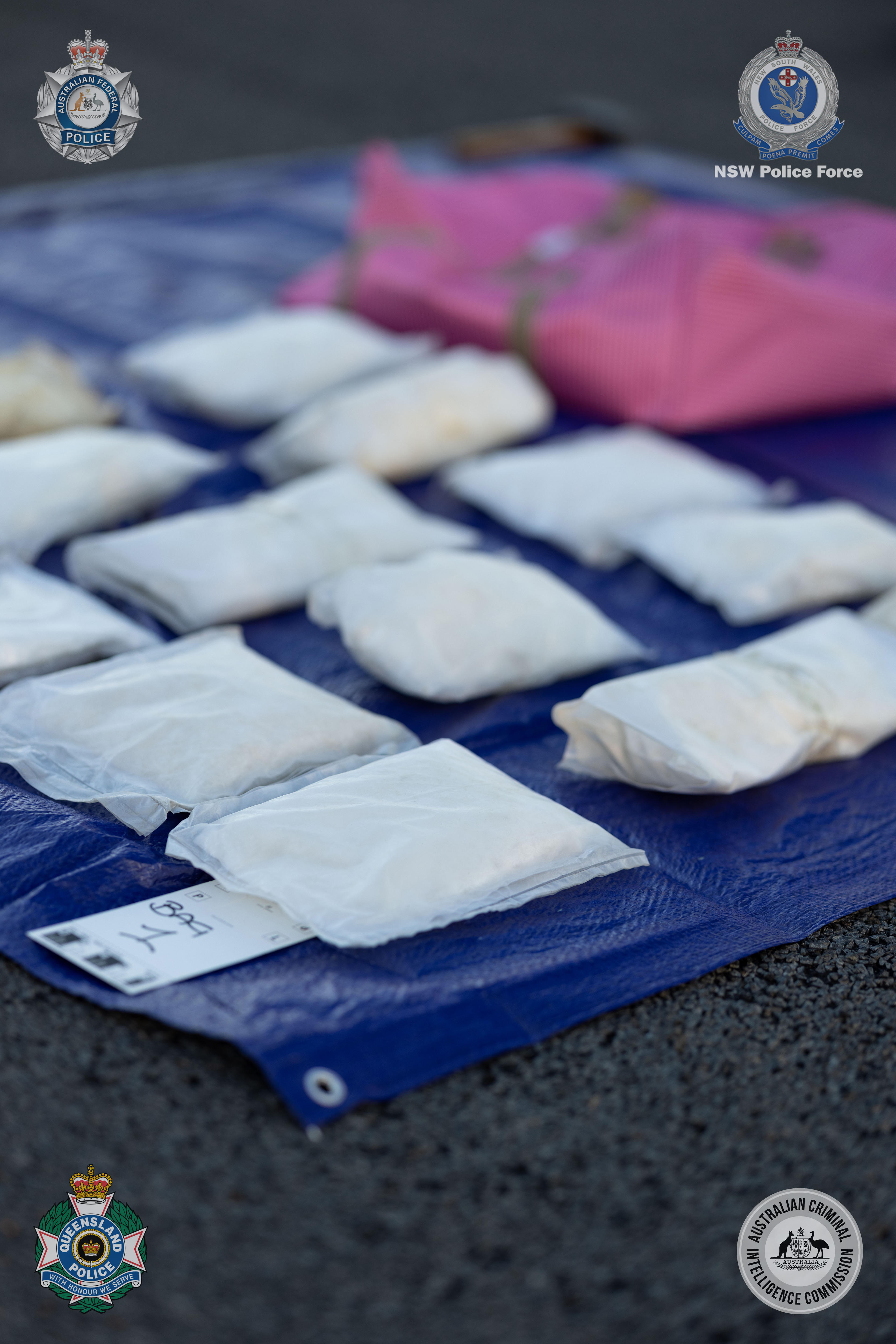 plastic bags full of white powder