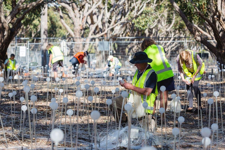 Volunteers in high viz planting thousands of  solar-powered stems