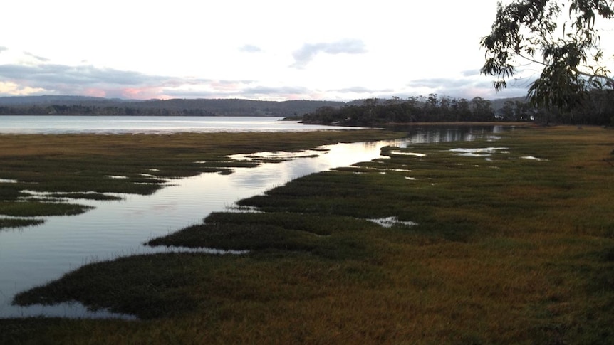 The Tamar Estuary is loaded with silt for most of its 60 kilometre length