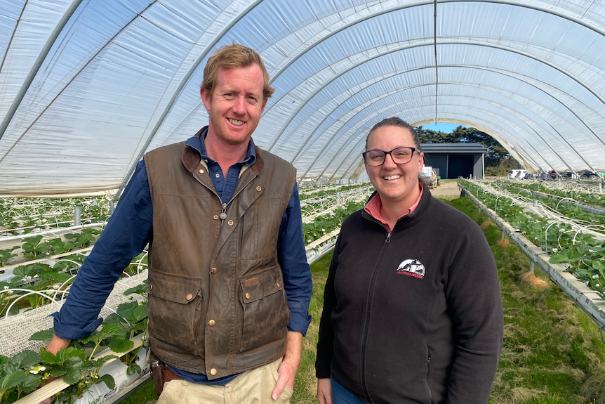 A man with orange hair and a woman with glasses stand in a plastic tunnel, they're surrounded by plants 