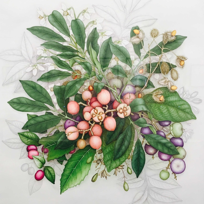 Illustration of berries and leaves