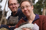 A man and a woman looking to camera a smiling as they each hold a young wombat.