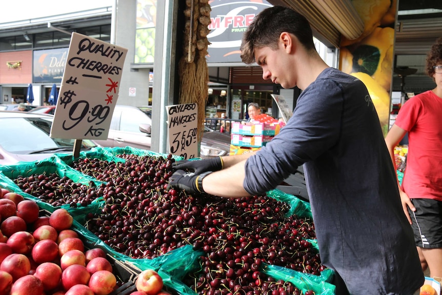 Cherries on sale