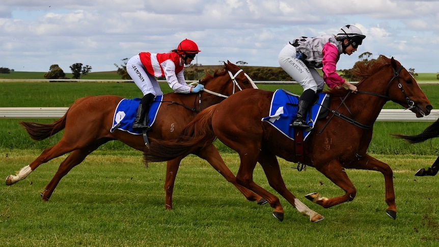 Two horses racing on a track, they are both brown, both jockeys are sitting forward.
