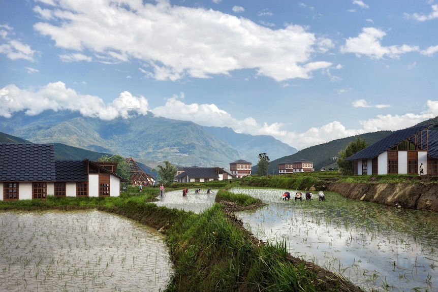 An artist's impression of the mindfulness city with rice paddies.