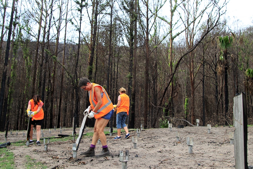Women in high vis vests work on deconstructing a site at a camping spot at Kangaroo Valley, surrounded by burnt bushland.