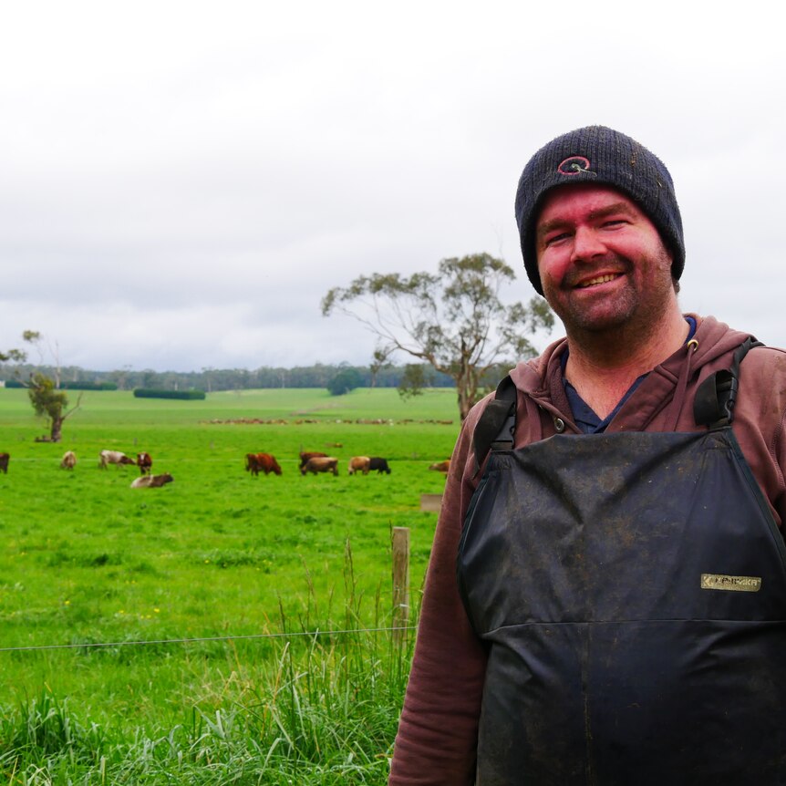 A man standing in front of a paddock with cows