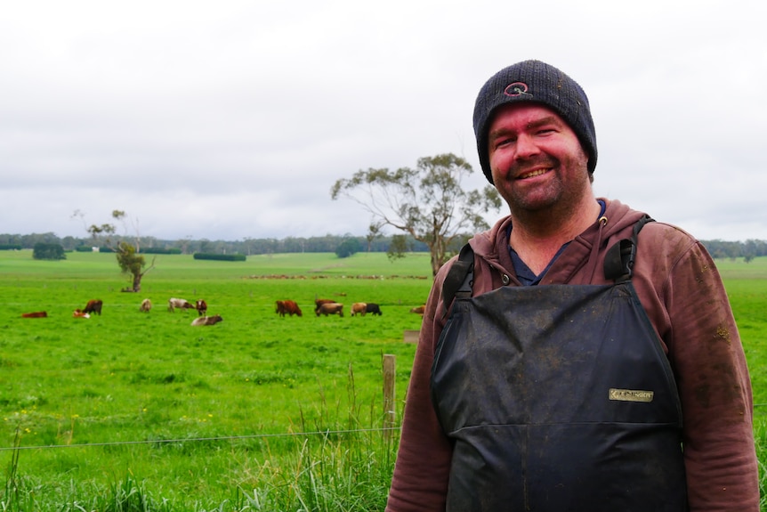A man standing in front of a paddock with cows.