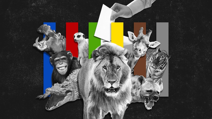 Graphic featuring coloured bars, disembodied hand holding a ballot and animals.