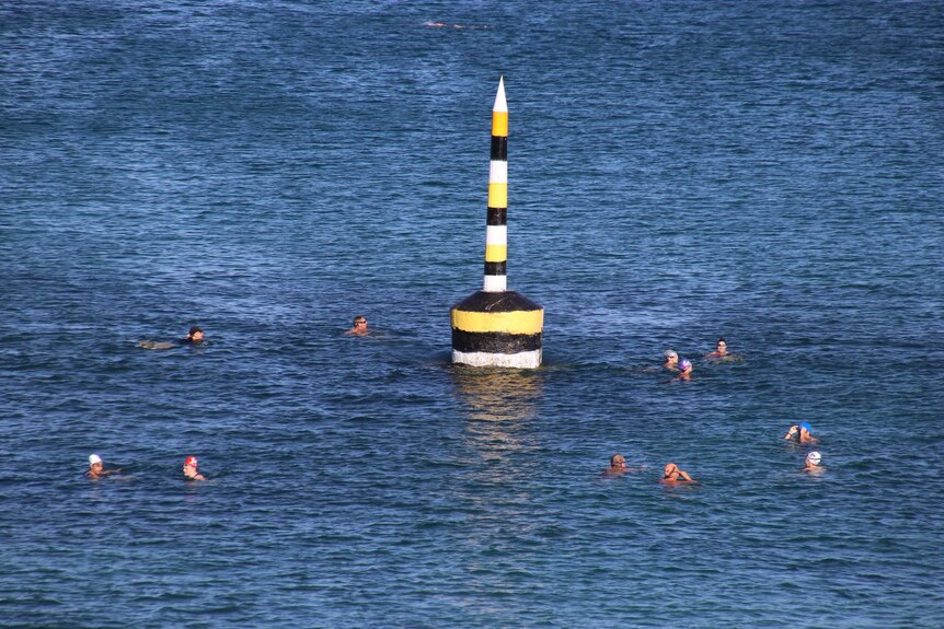 Swimmers in the water at Cottesloe Beach