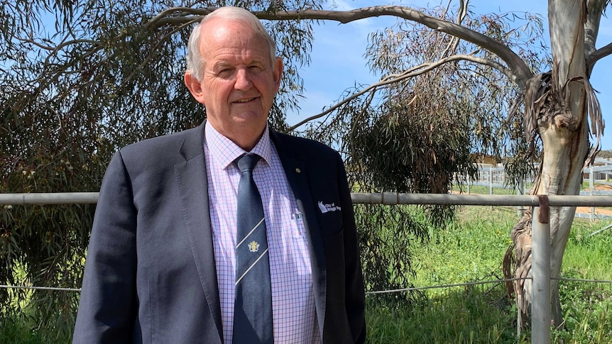 Man wearing navy blazer standing in front of wire fence and gum tree