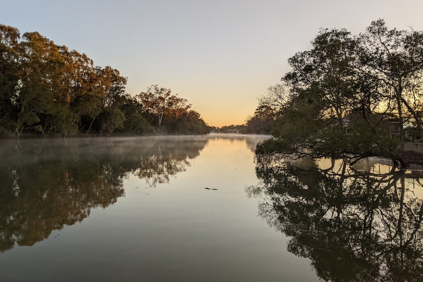 Fog floating above creek lined with trees