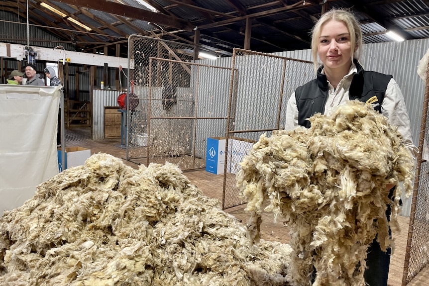 A young woman holding up wool in a shearing shed