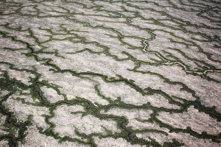 A very high aerial view of the Diamantina floodplain, 2016