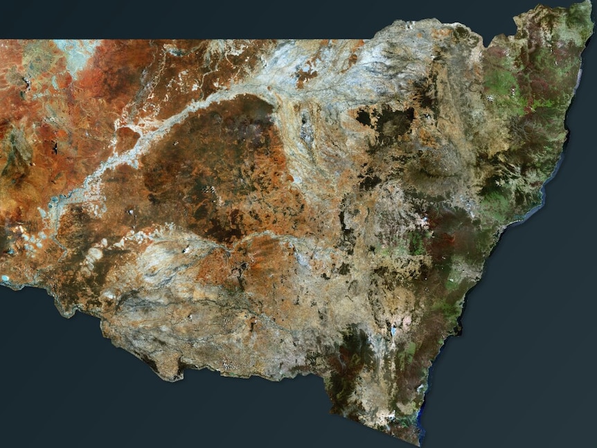 A satellite image of the state of New South Wales, its land heavily scarred by the Black Summer bushfires