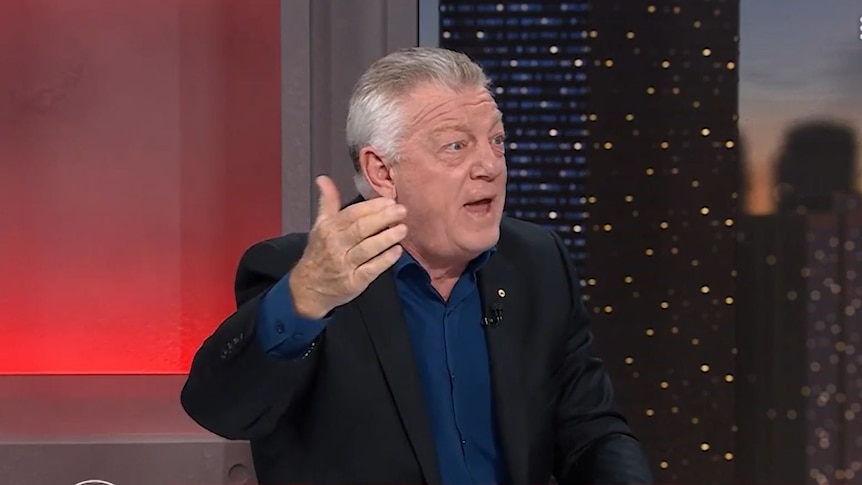 Canterbury Bulldogs general manager Phil Gould talking and gesturing in a screengrab from Channel Nine's 100% Footy program.