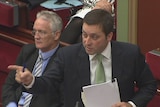Victorian Planning Minister Matthew Guy in parliament.