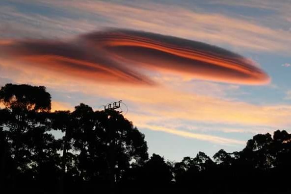 orange UFO shaped clouds over a silhouetted tree line