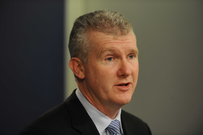 Federal Immigration Minister Tony Burke
