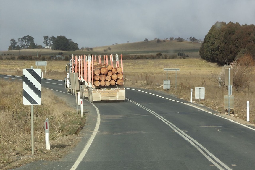 The back view of a logging truck driving down a country road, with a grey sky in the background.