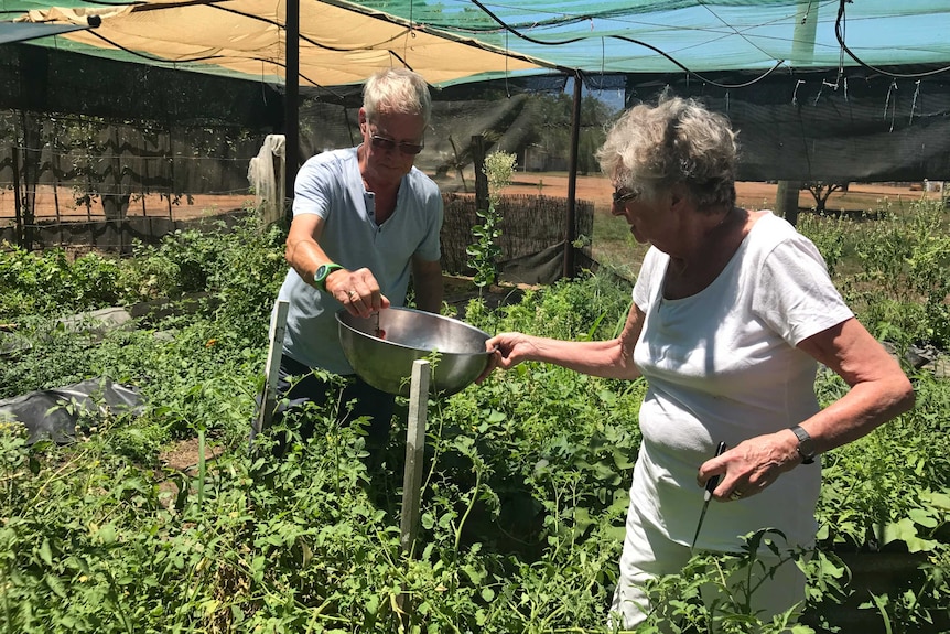 Jens and Anita Steffen in the garden at Abingdon Downs.