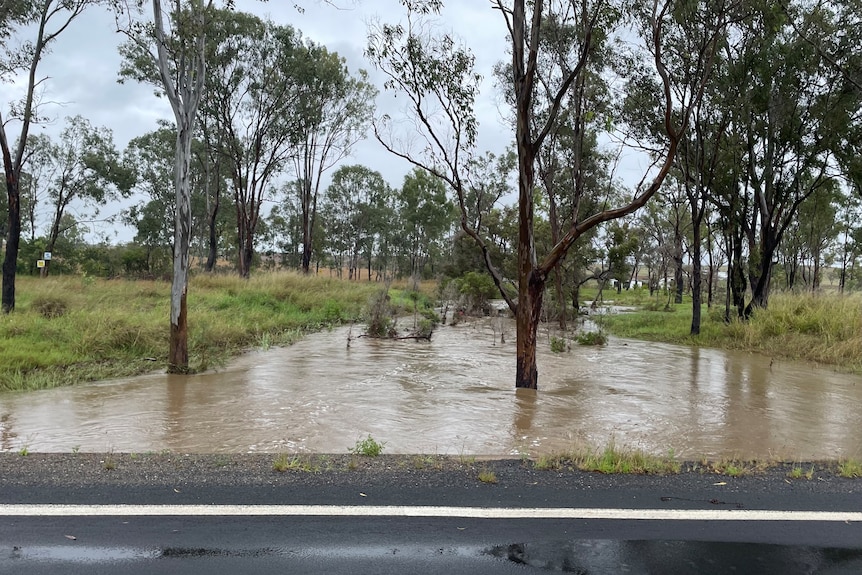 flood waters rise into bush land next to a road 
