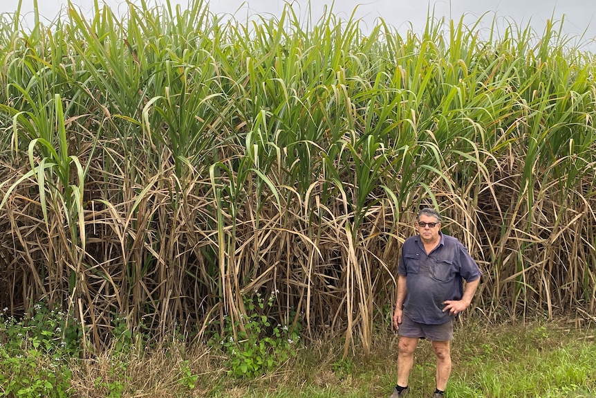 Kevin Borg stands in front of a field of cane, he is in dark clothes with one hand on his hip