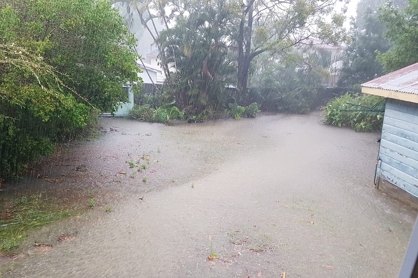 Brown stormwater covering grass and a paved driveway next to a weatherboard house.