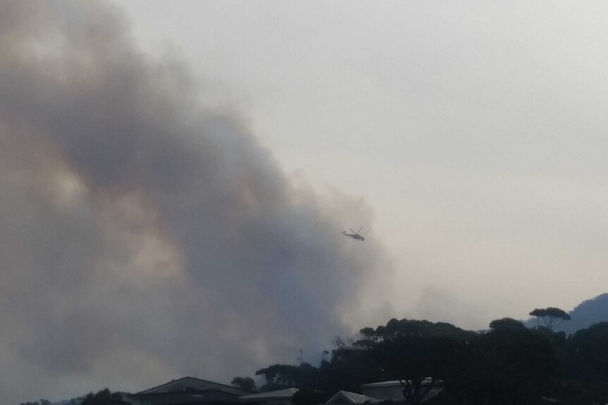 Fire burning in Wollongong
