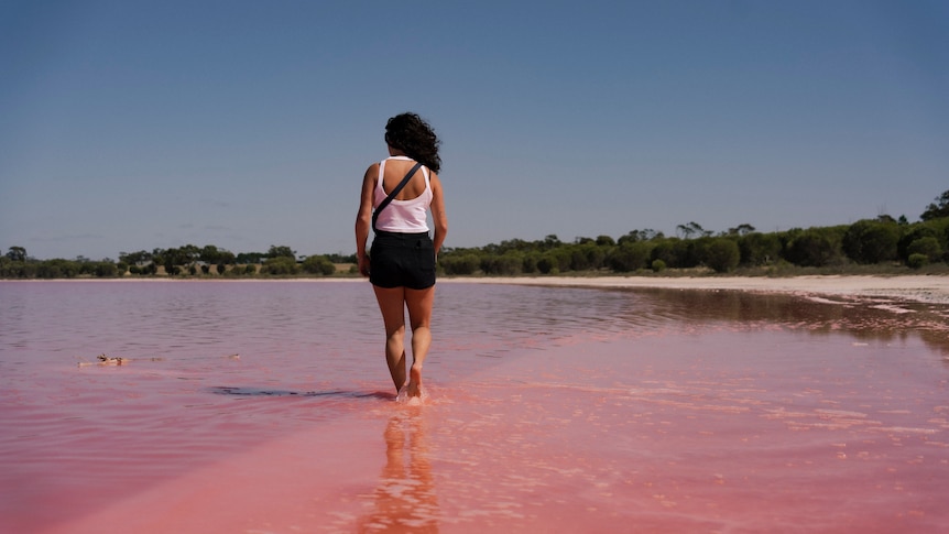 a woman walks in a pink lake.