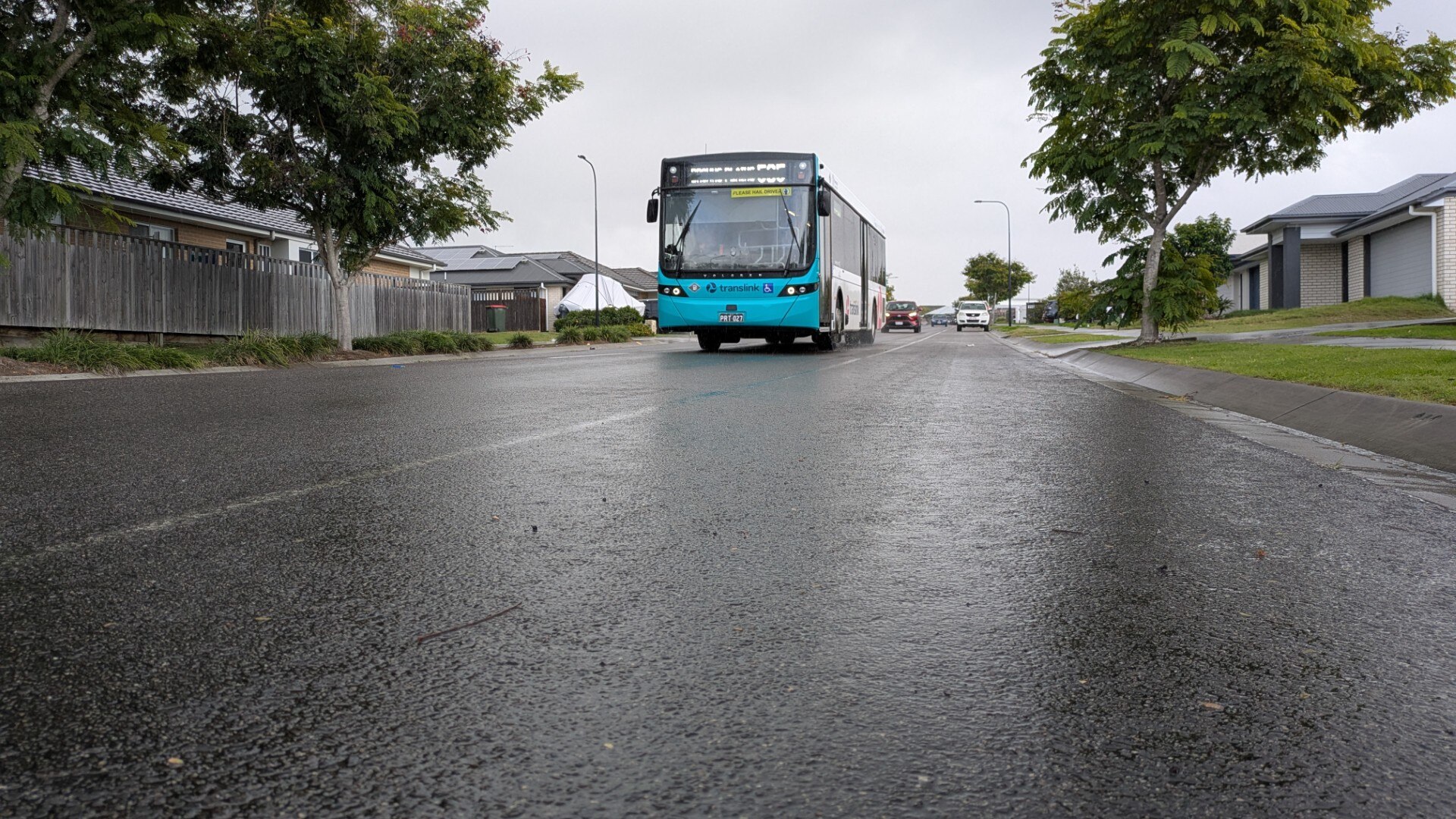A blue Translink bus travelling along a residential street