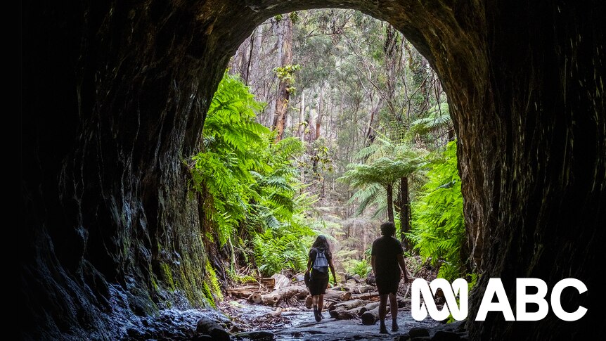 The most spectacular route to Eagle Rock in Royal National Park — Walk My  World