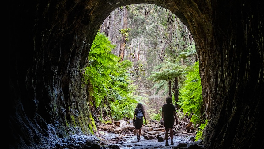 The silhouette of Evi and Andrew as they walk through a tunnel in the bush.