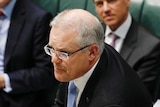 Prime Minister Scott Morrison shouts during his first question time as Prime Minister