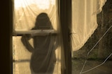 A silhouette of a woman facing a window.