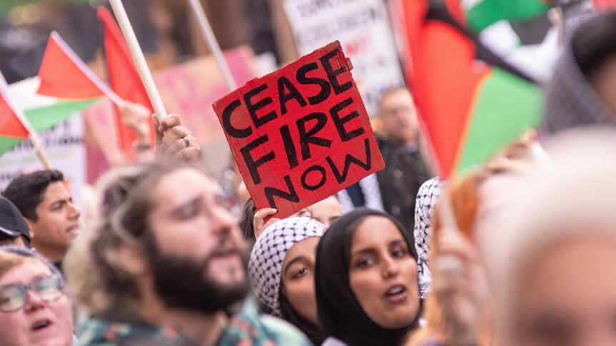protesters with Palestinian flags in background, and one holding a 'cease fire now' sign