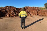 Firewood supplier Greg Stephen stands at his Northam timber yard in a hi-vis shirt.