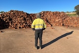 Firewood supplier Greg Stephen stands at his Northam timber yard in a hi-vis shirt.
