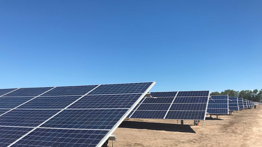 Rows of solar panels in a field.