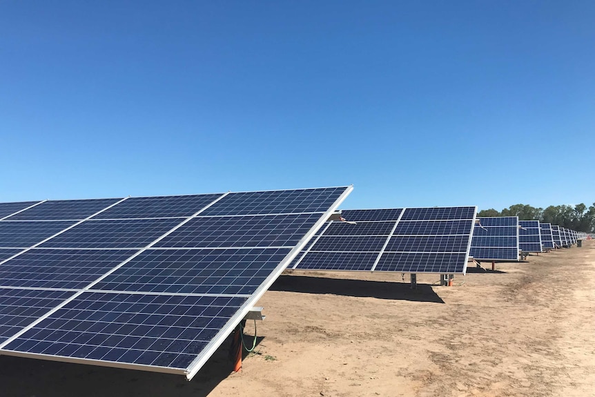 Row of solar panels in a field in Queensland in September, 2018.
