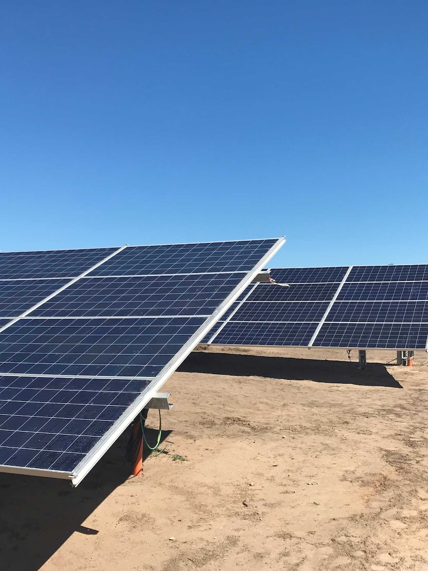 Rows of solar panels in a field.