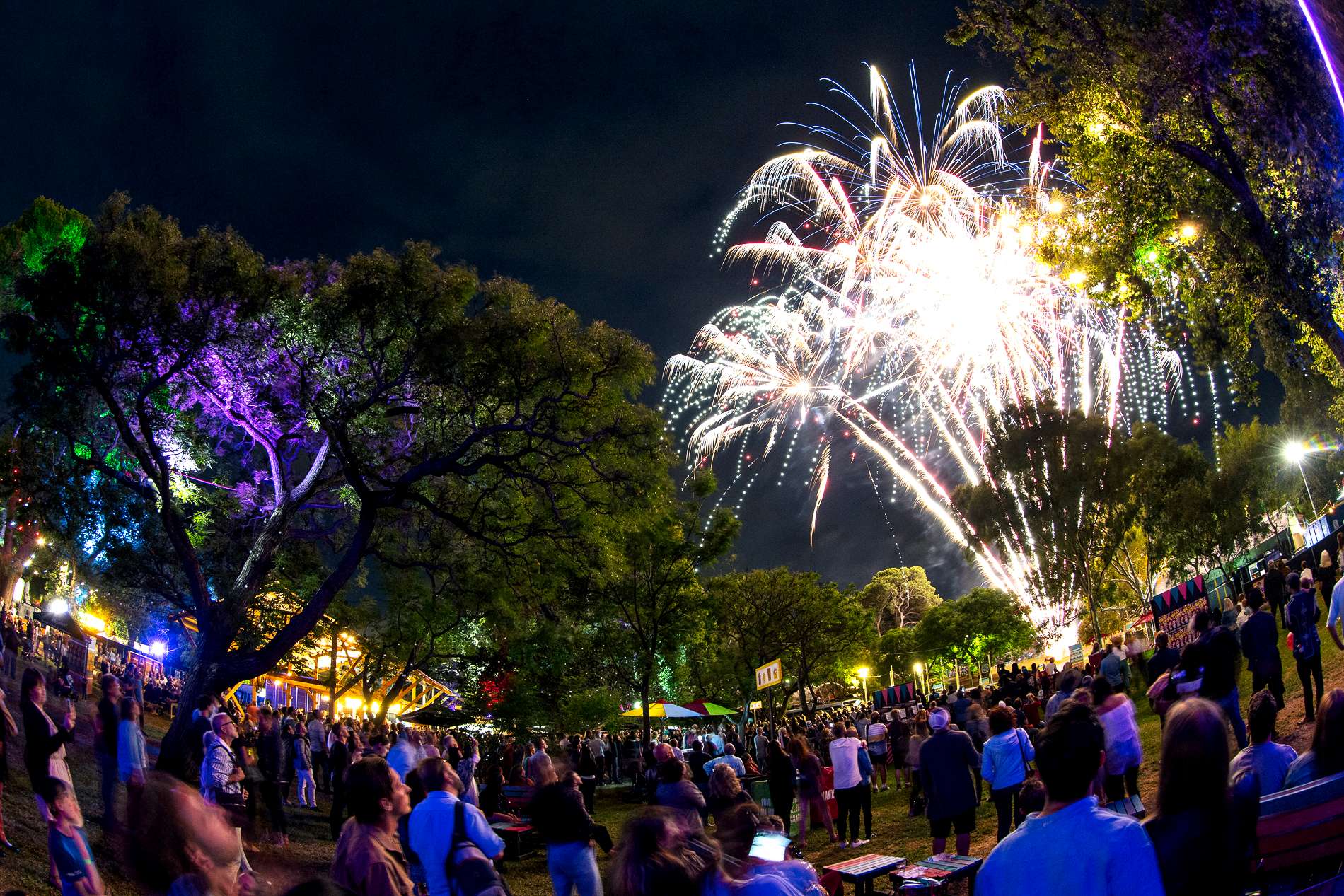 People stand around in a festival garden as fireworks explode overhead.