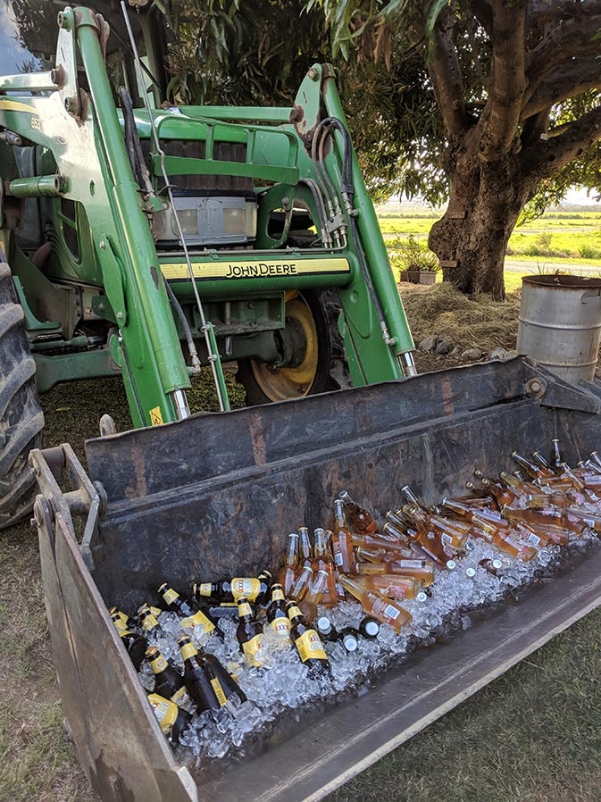 Green tractor bucket full of ice and beer.