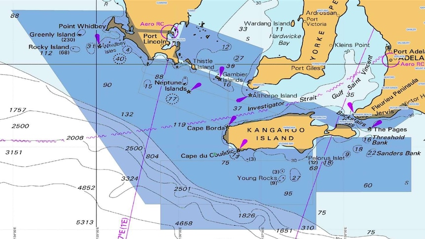 A map showing a search area off the South Australian coast